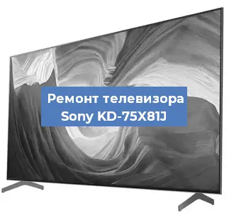 Замена динамиков на телевизоре Sony KD-75X81J в Санкт-Петербурге